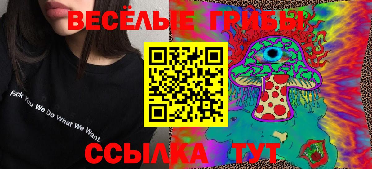 Псилоцибиновые грибы Cubensis Ачхой-Мартан