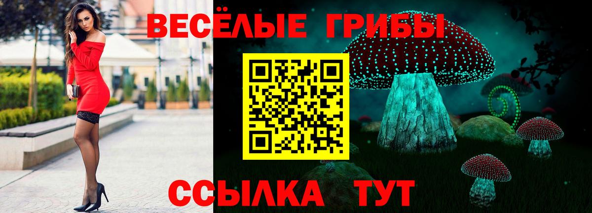 Галлюциногенные грибы Psilocybine cubensis  Псилоцибиновые грибы Psilocybe  Вход с VPN  Ачхой-Мартан 
